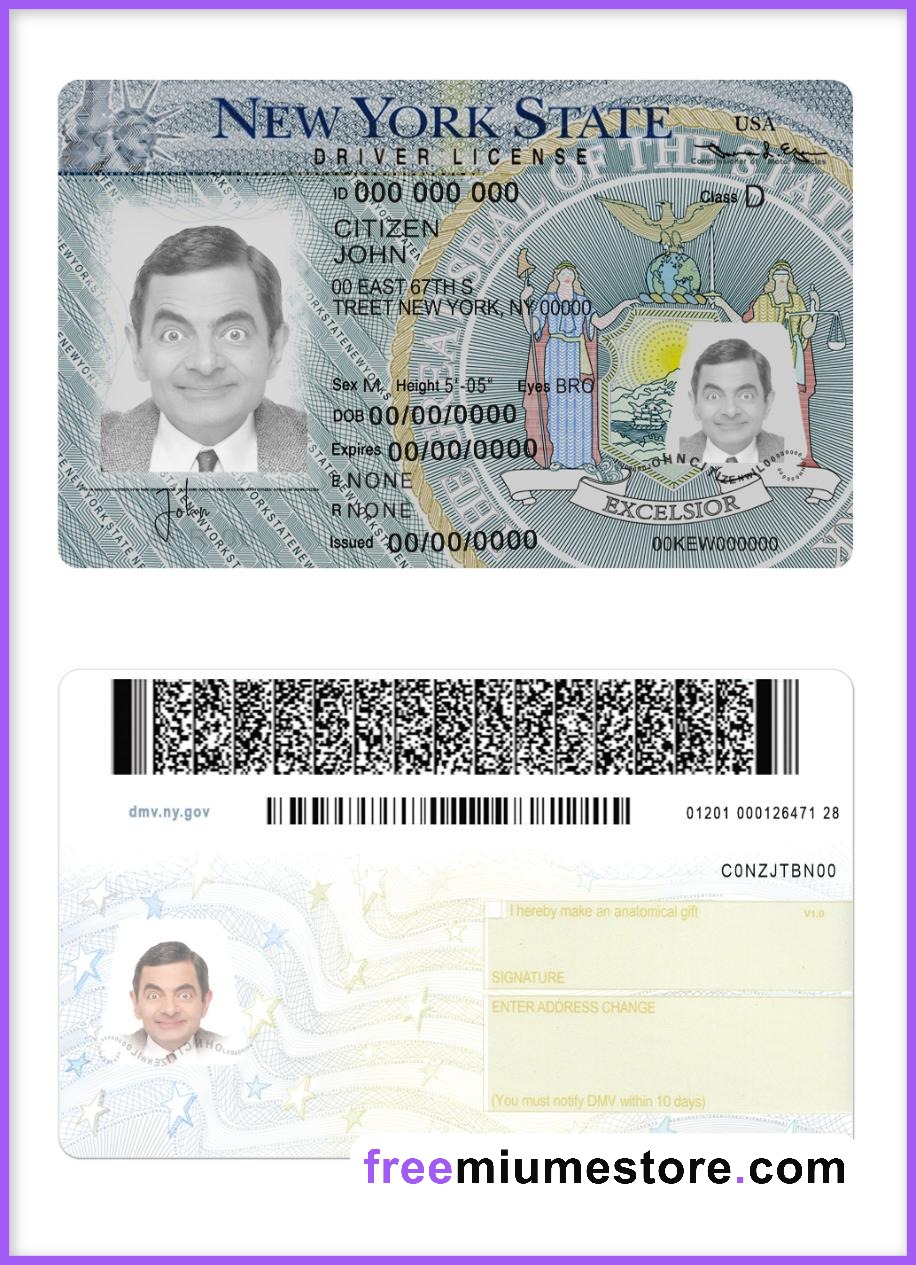 New York Driver license PSD Template